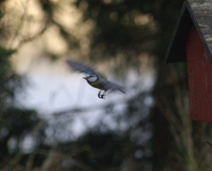 Last_waiting_round_turning