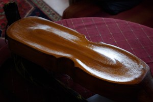 omradesstamning_botten