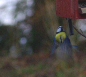 Oops_approach_almost_too_low