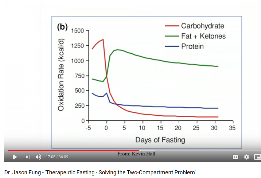 JasonFung_burn_fat_from_Hall
