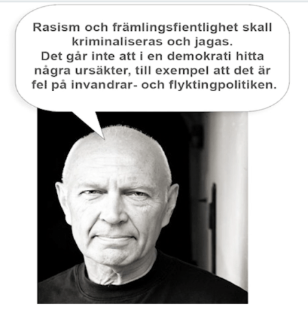 rasism_främlingsfientlighet.png